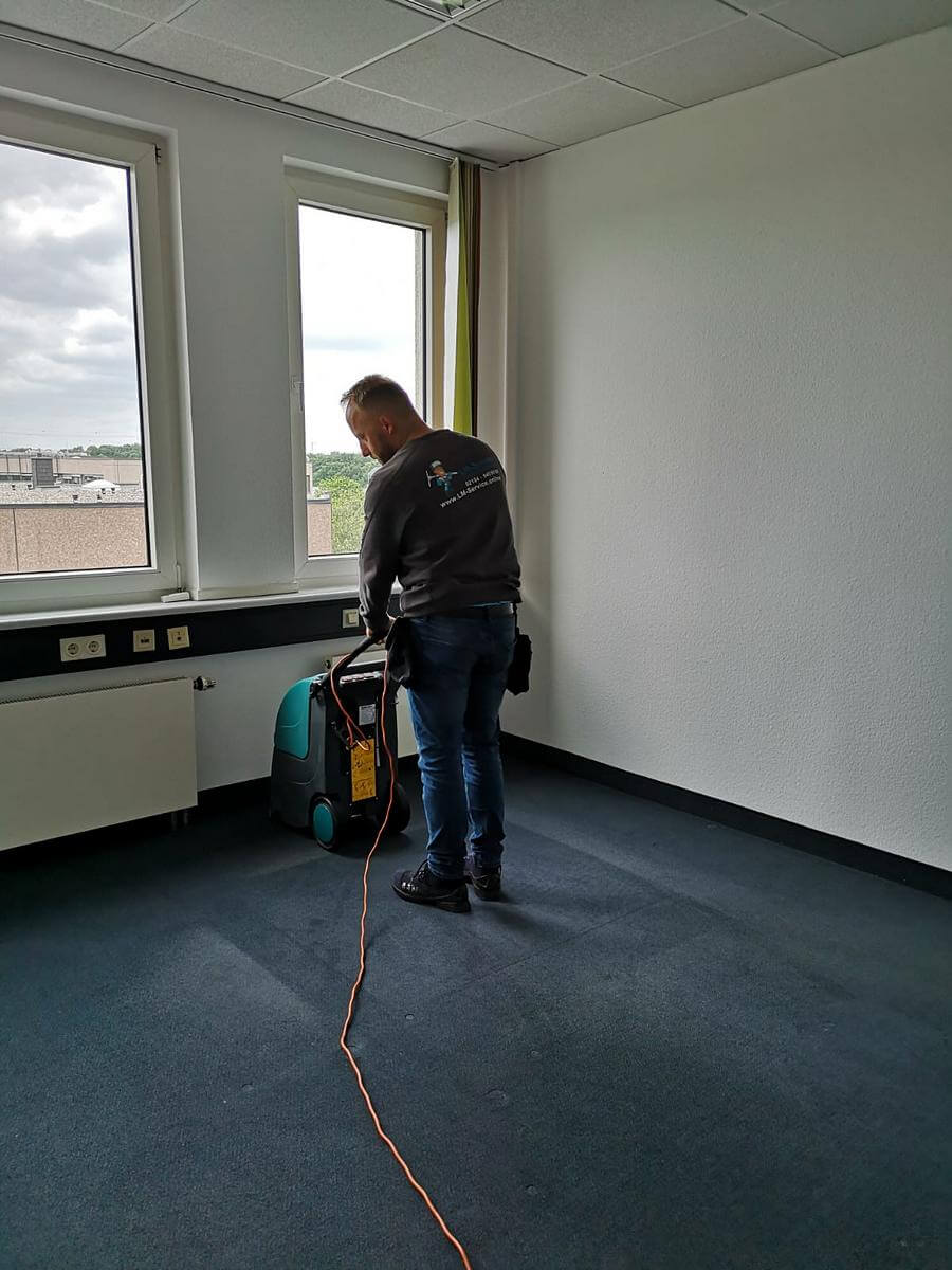 professionelle Teppichreinigung